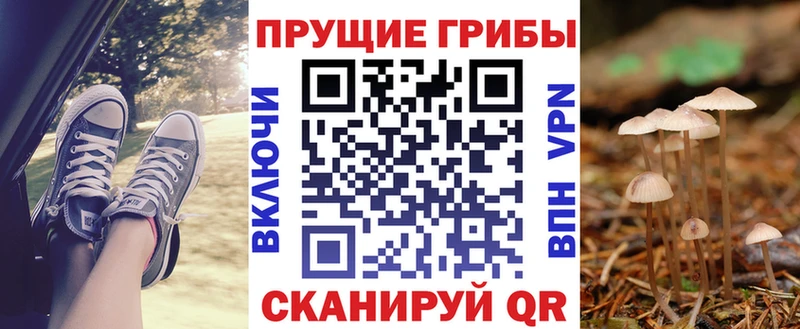 площадка как зайти Козловка Галлюциногенные грибы ЛСД